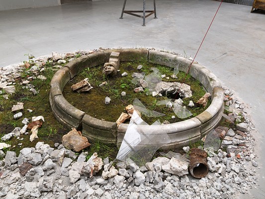 Image 4 of 19