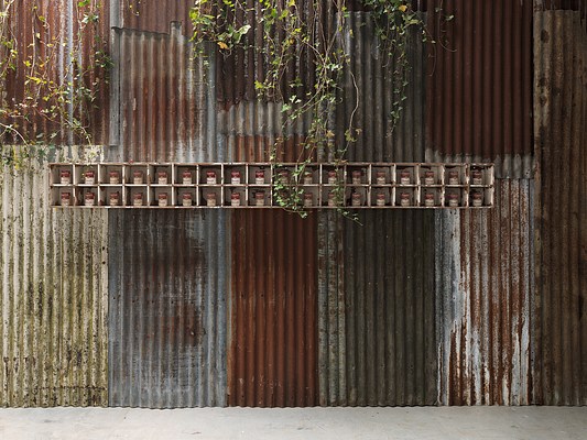 Image 11 of 19