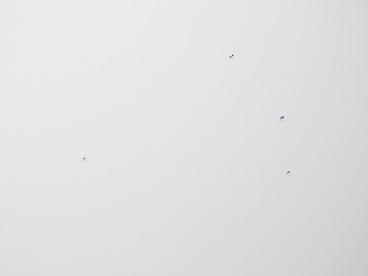 Image 1 of 56