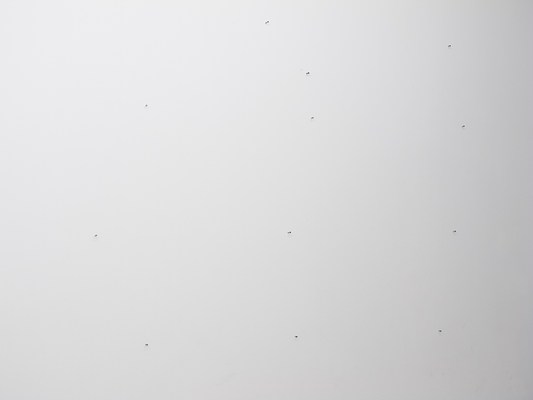 Image 2 of 56