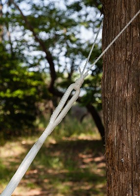 Image 48 of 167