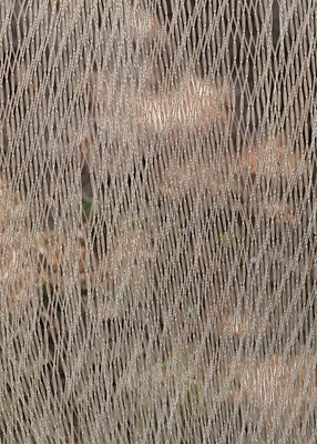 Image 49 of 167