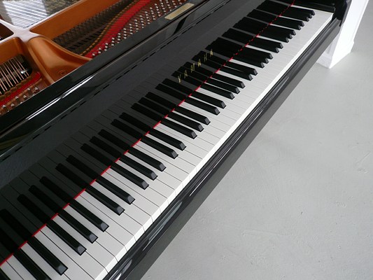 Image 7 of 7