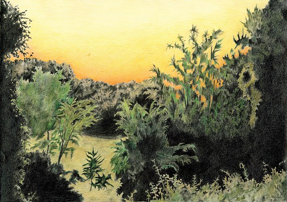 Image 4 of 16