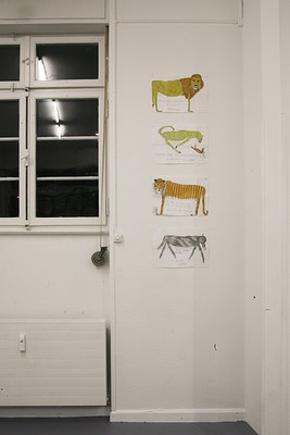 Image 11 of 21