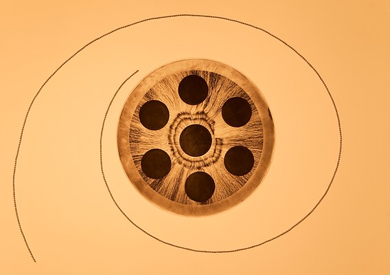 Image 12 of 12