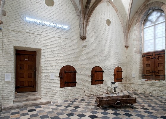 Image 12 of 22