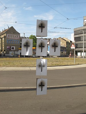 Image 3 of 48