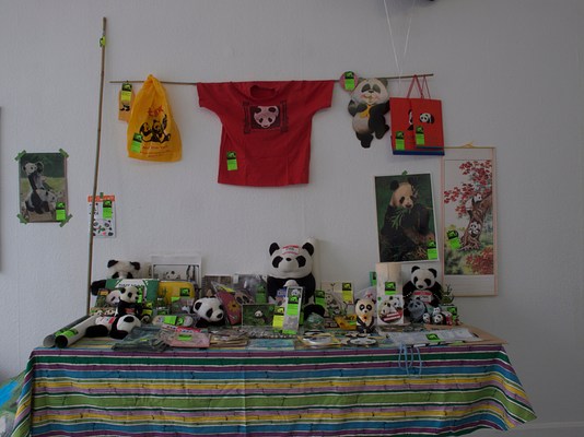 Image 21 of 48