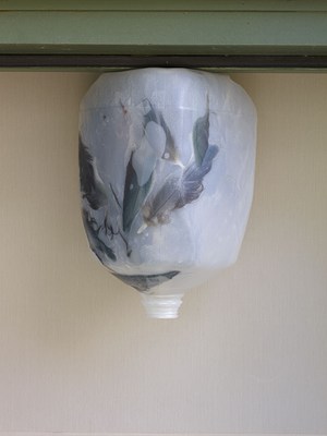 Image 13 of 23