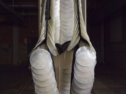 Image 17 of 23