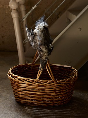 Image 23 of 23