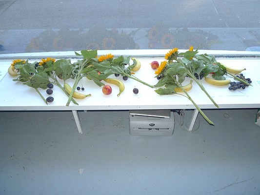 Image 12 of 34