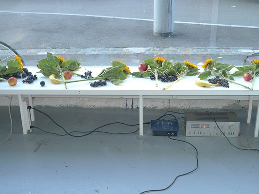 Image 11 of 34