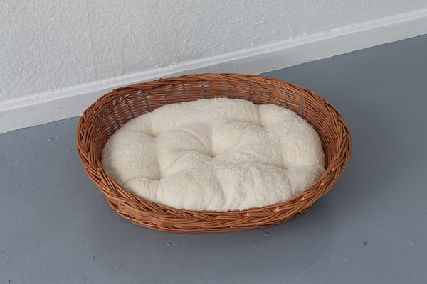 Image 19 of 25