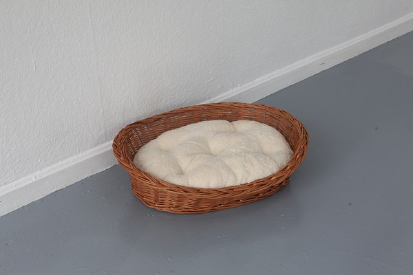 Image 20 of 25