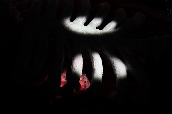 Image 12 of 13