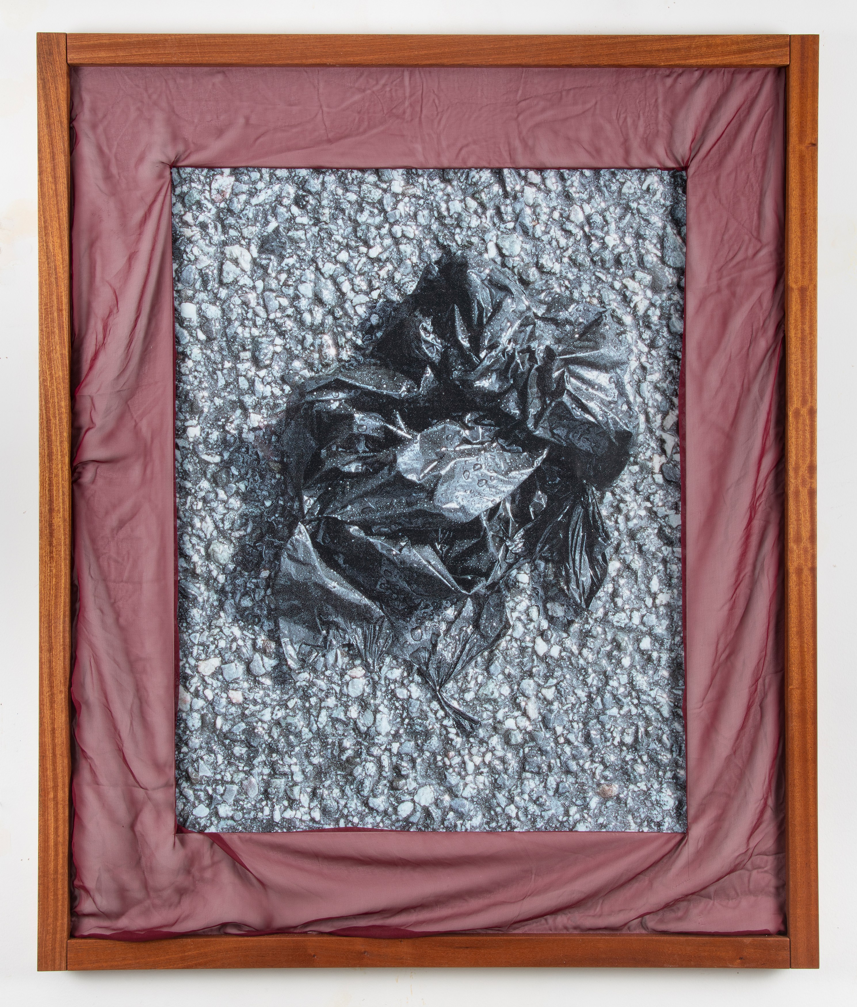 Rose Marcus, Front at Night Gallery, photo 23