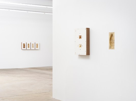Image 10 of 25