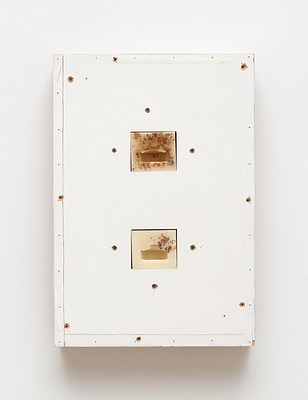 Image 19 of 25