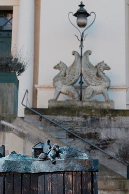 Image 16 of 20