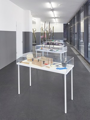 Image 7 of 18