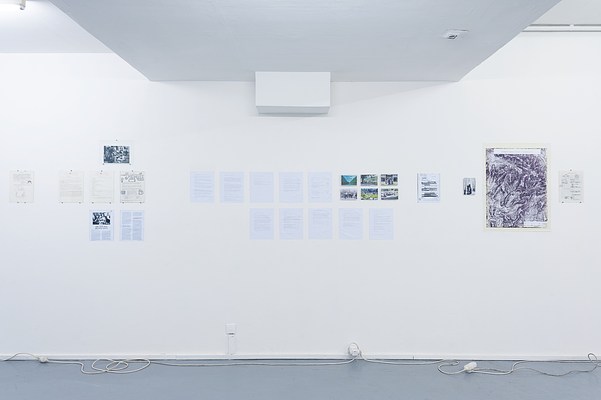 Image 4 of 26