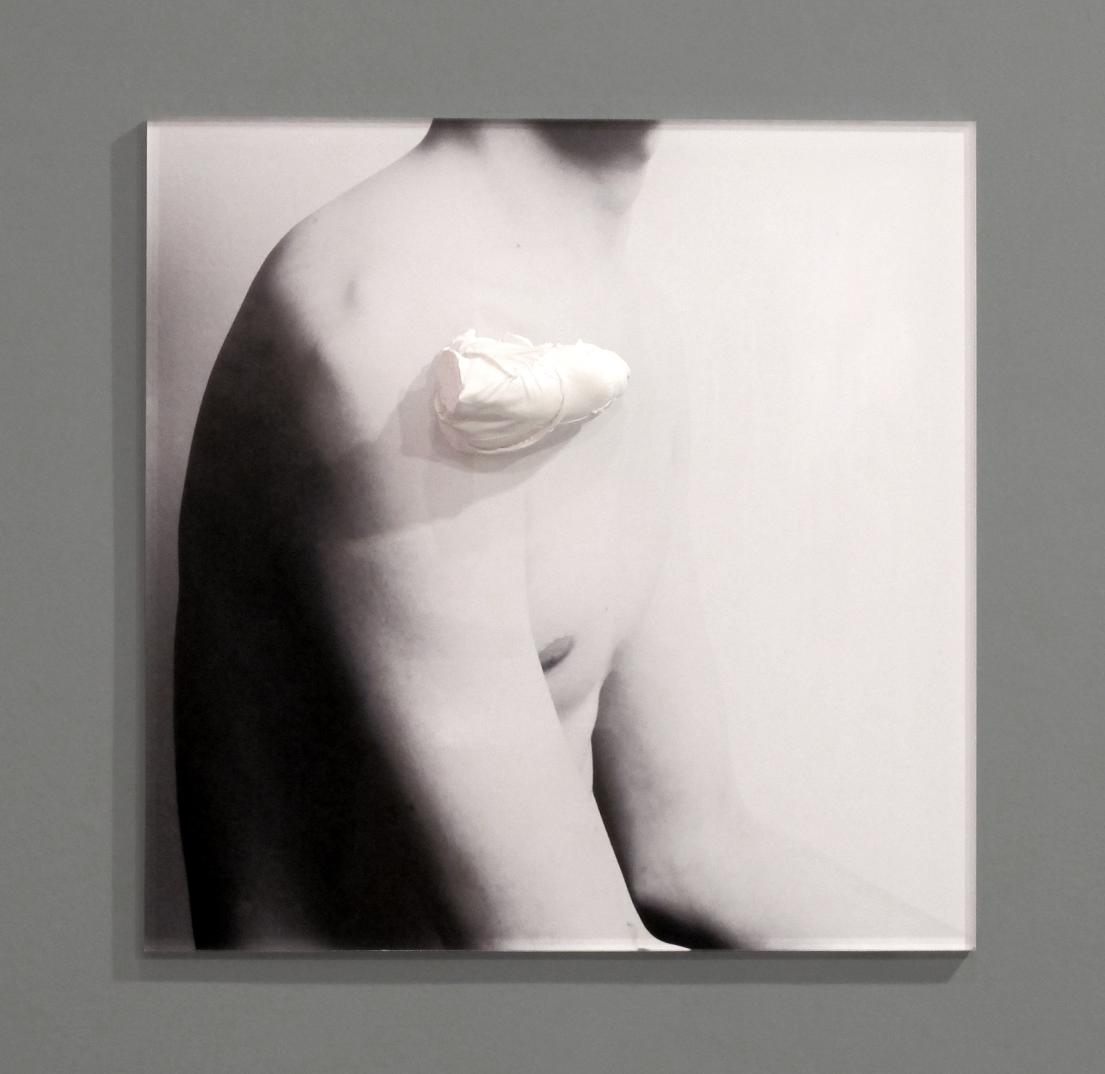 Looking Back: The Eighth White Columns Annual, Looking Back: The Eighth White Columns Annual at White Columns, photo 36