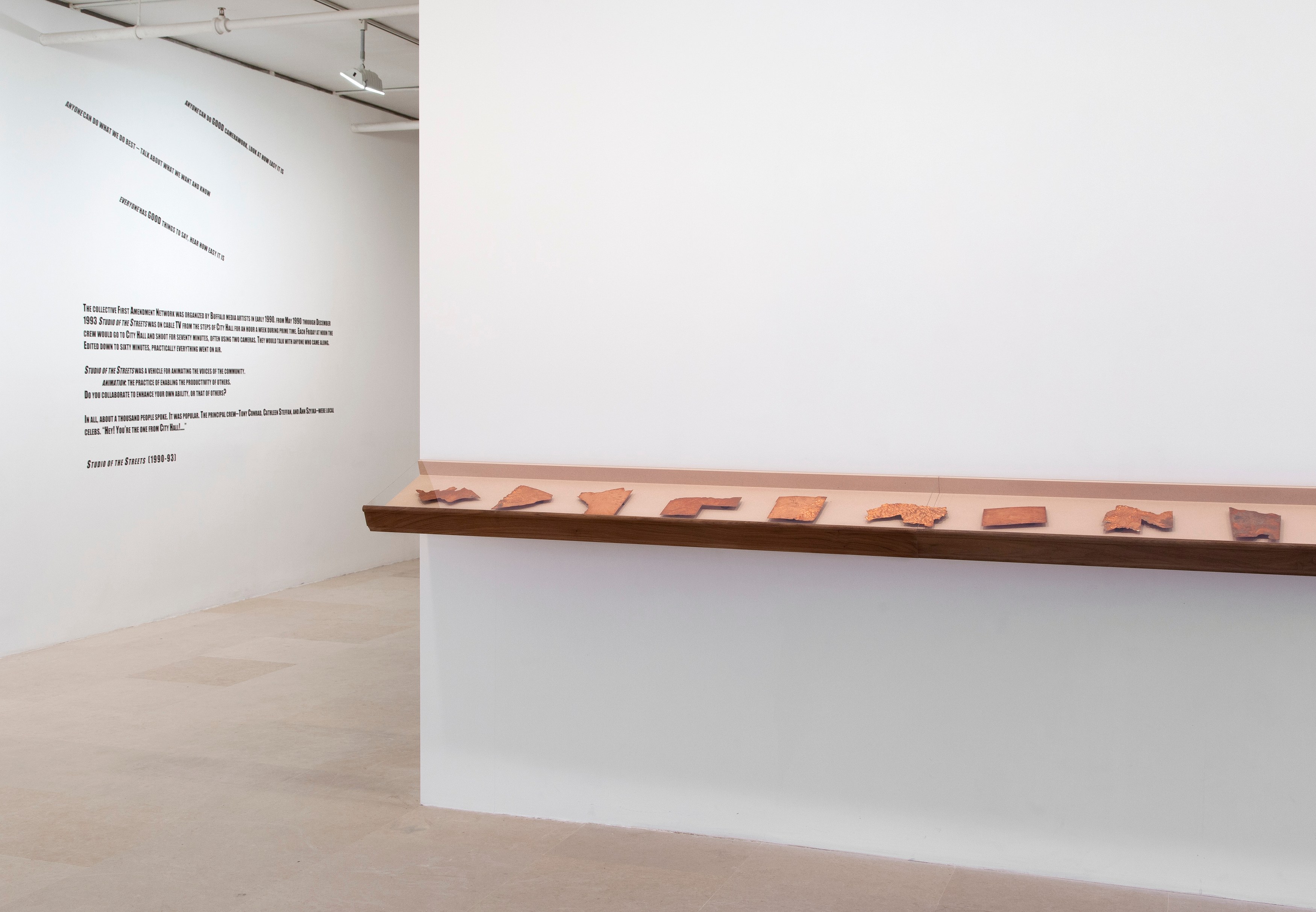 Infected Foot, Infected Foot at Greene Naftali, photo 4