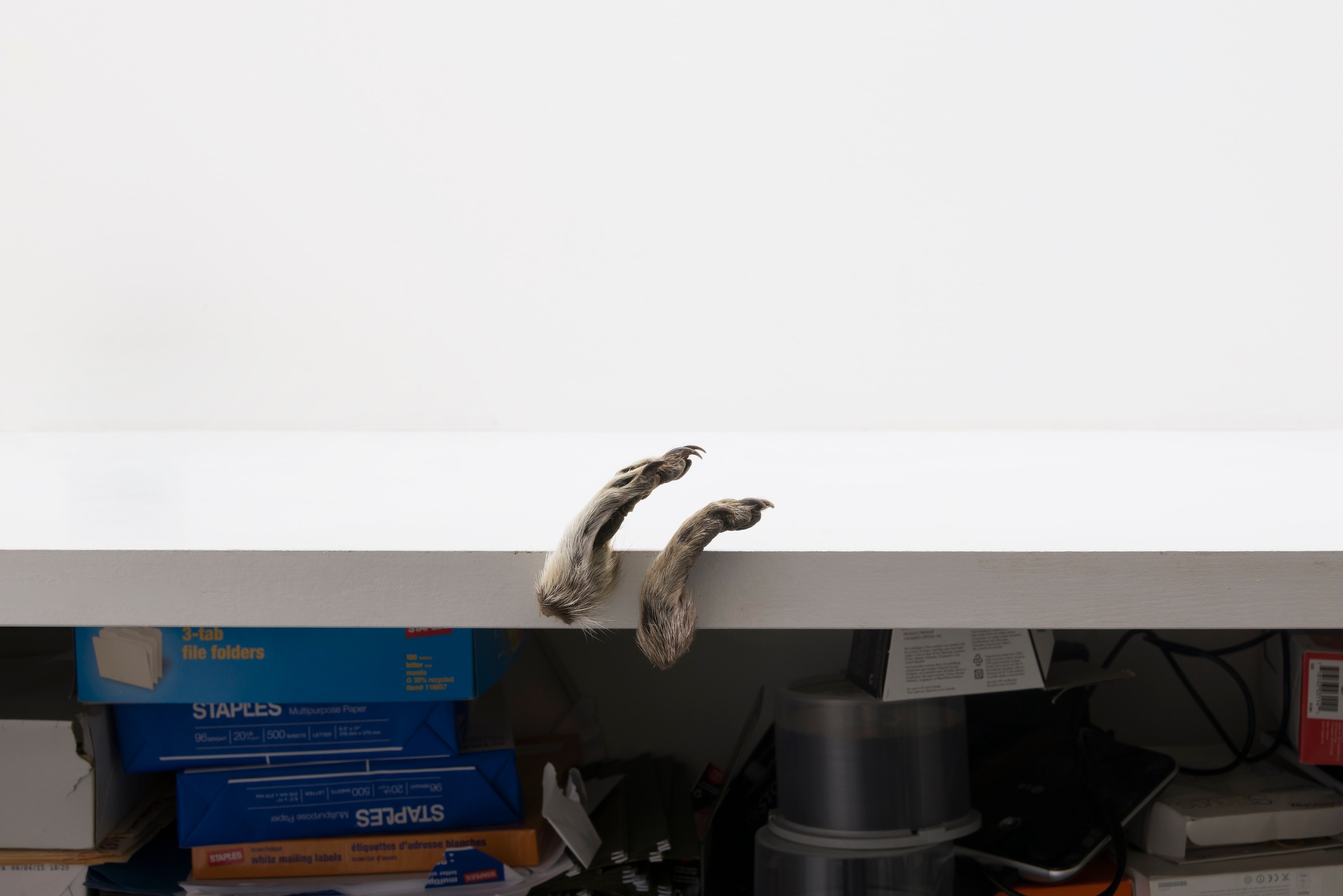 Michael E. Smith, Untitled at Michael Benevento Gallery, photo 20