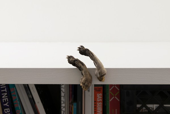 Image 21 of 35