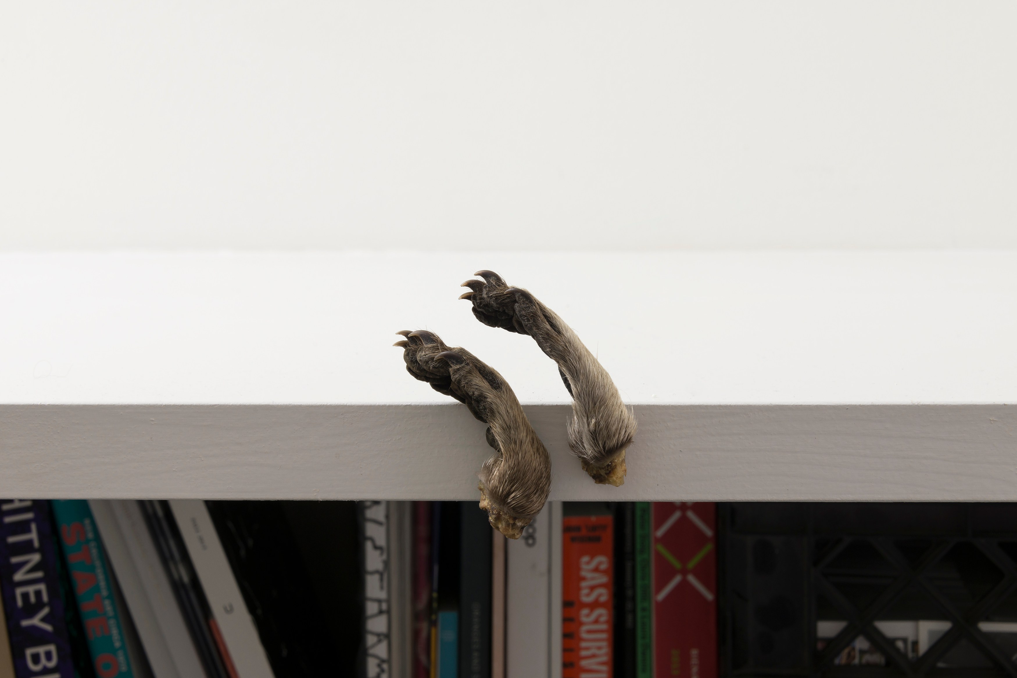 Michael E. Smith, Untitled at Michael Benevento Gallery, photo 21