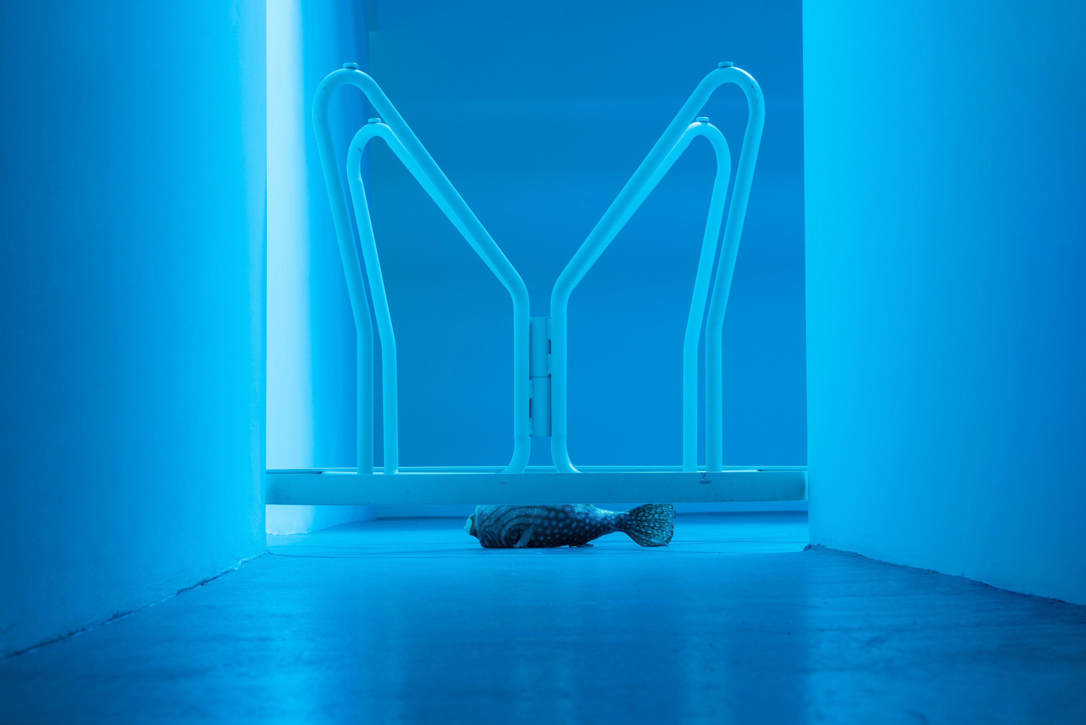 Michael E. Smith, Untitled at Michael Benevento Gallery, photo 31