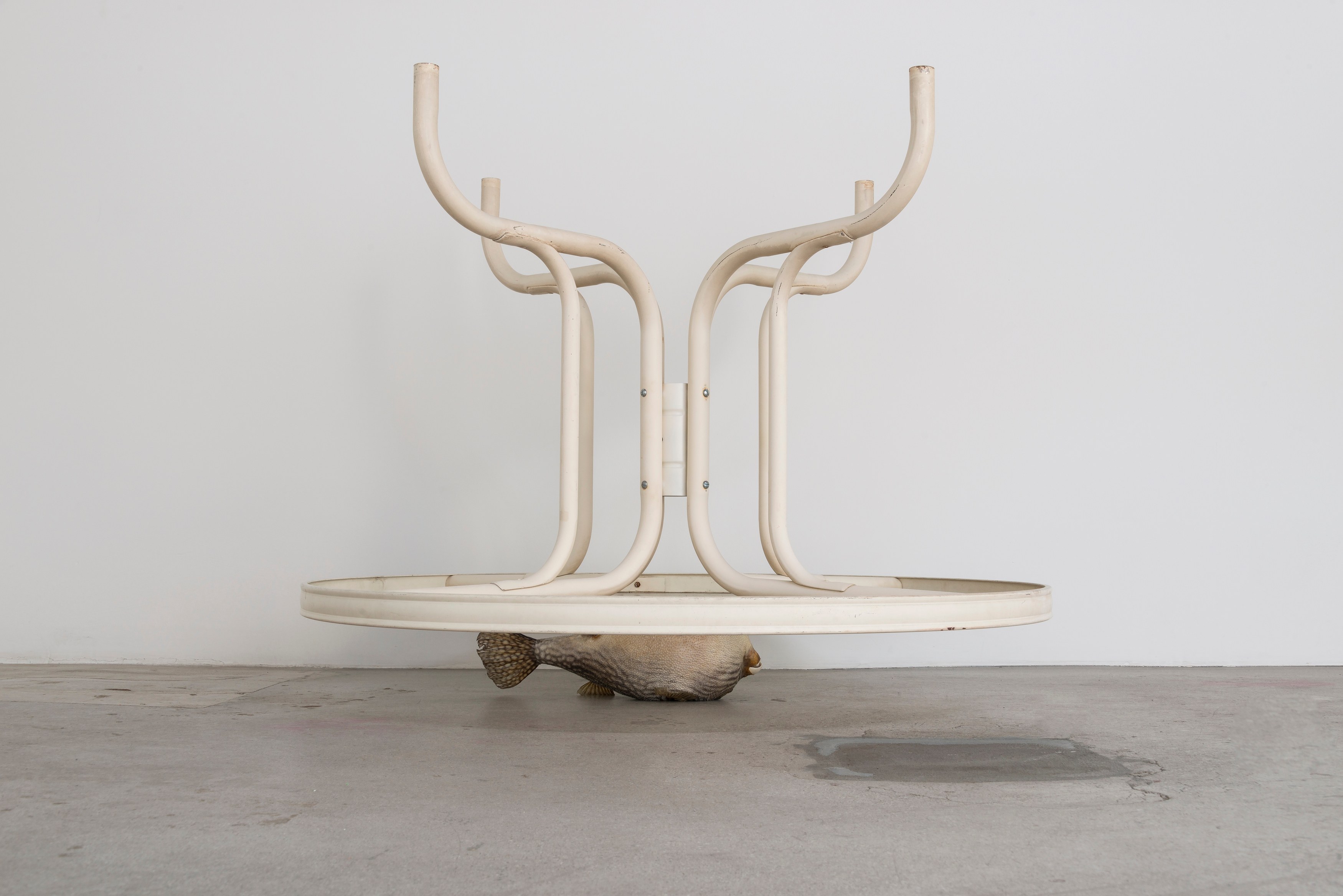 Michael E. Smith, Untitled at Michael Benevento Gallery, photo 32