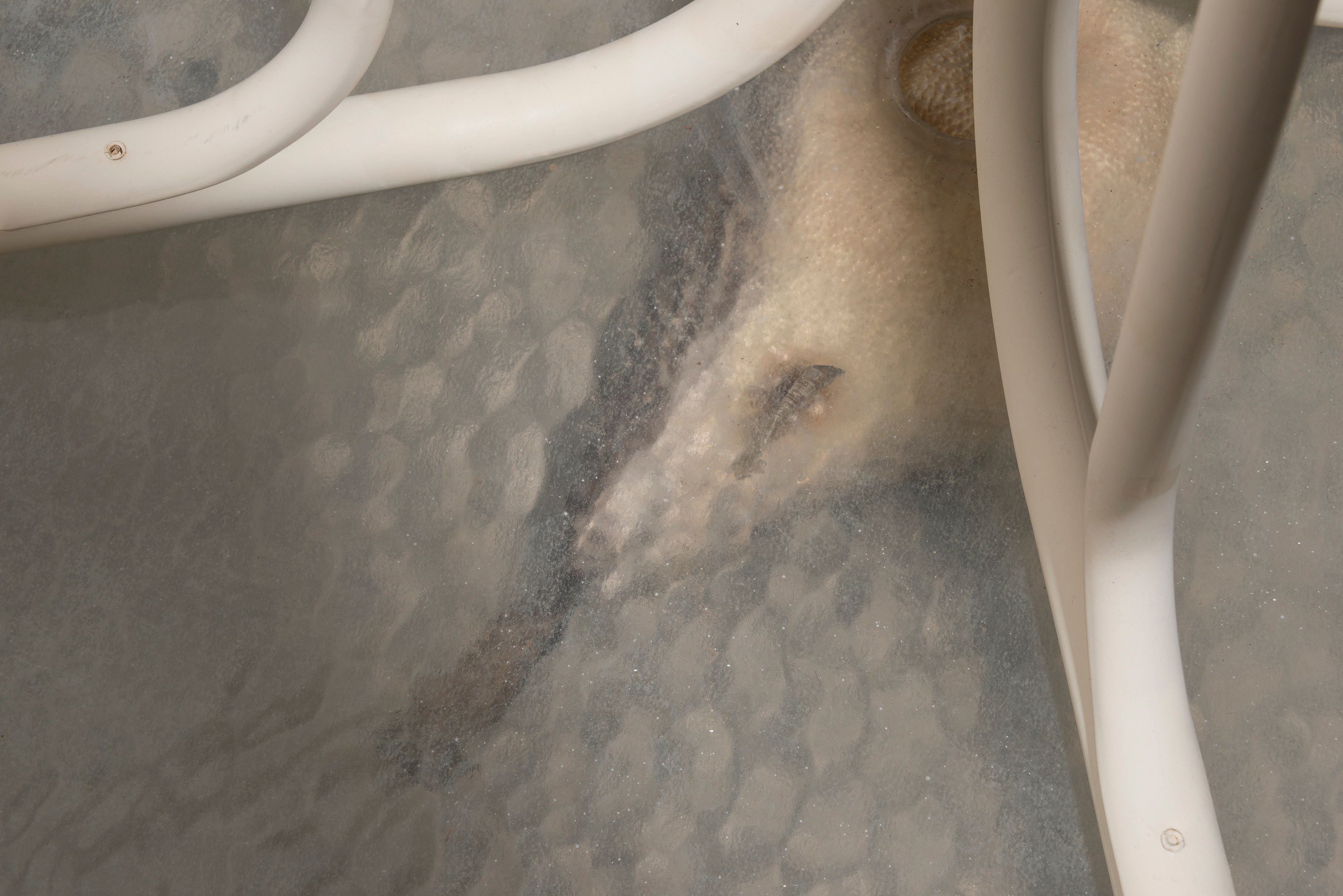 Michael E. Smith, Untitled at Michael Benevento Gallery, photo 35