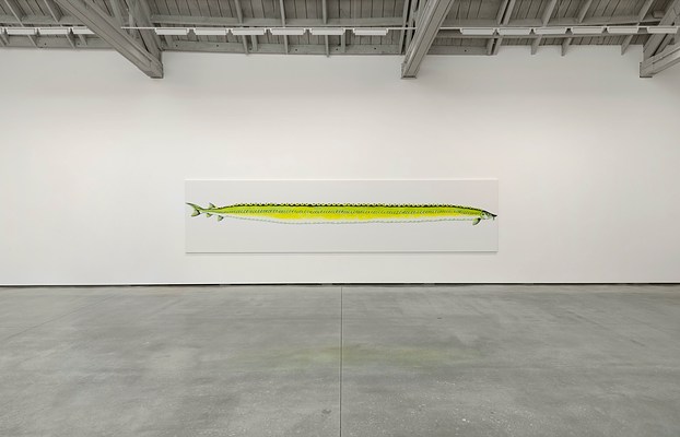 Image 11 of 26