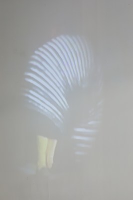Image 3 of 15