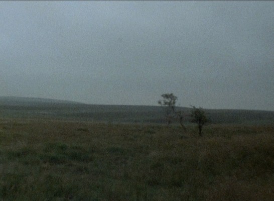 Image 18 of 20