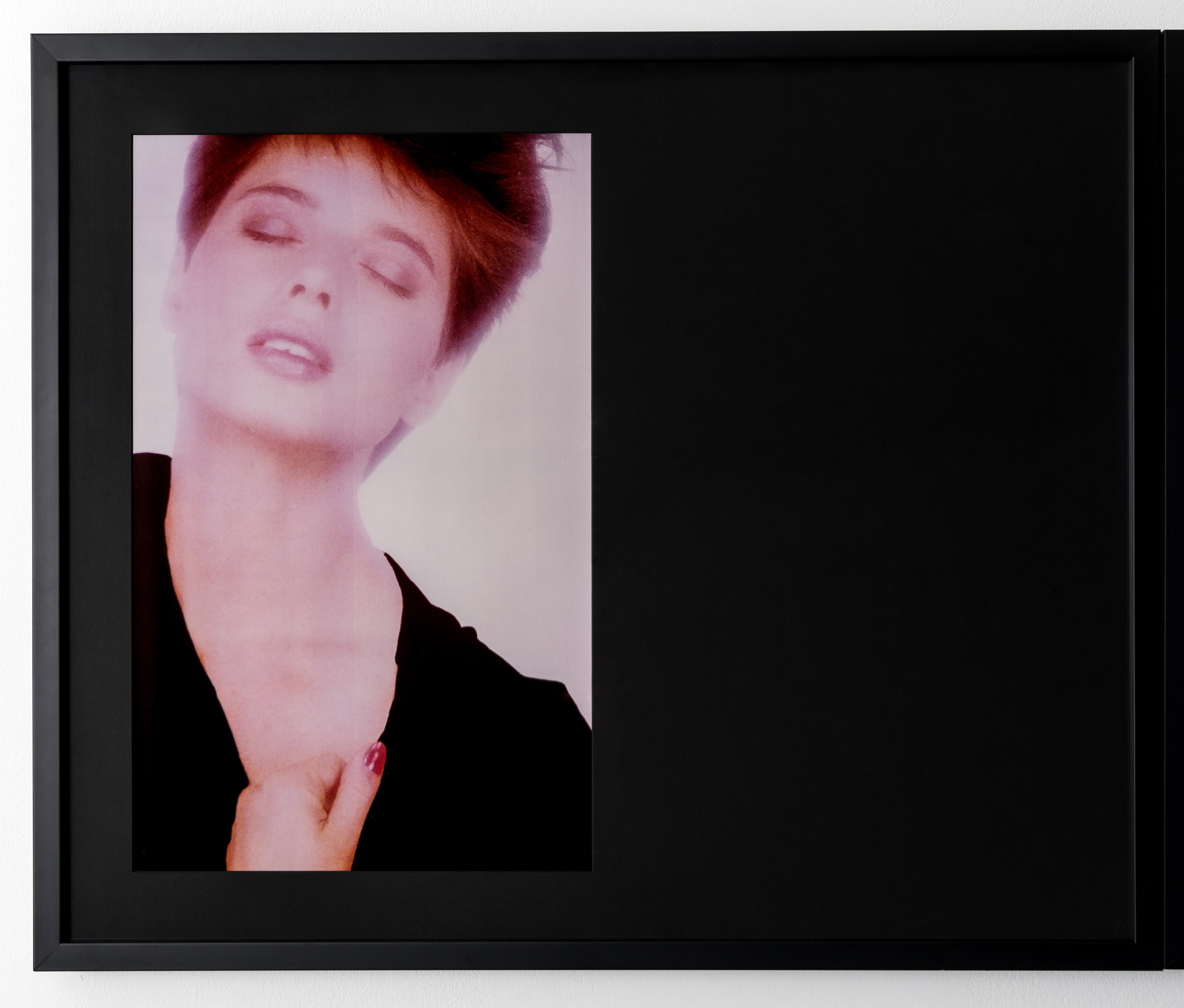 Vikky Alexander, 1981-1983 at Tara Downs, photo 5