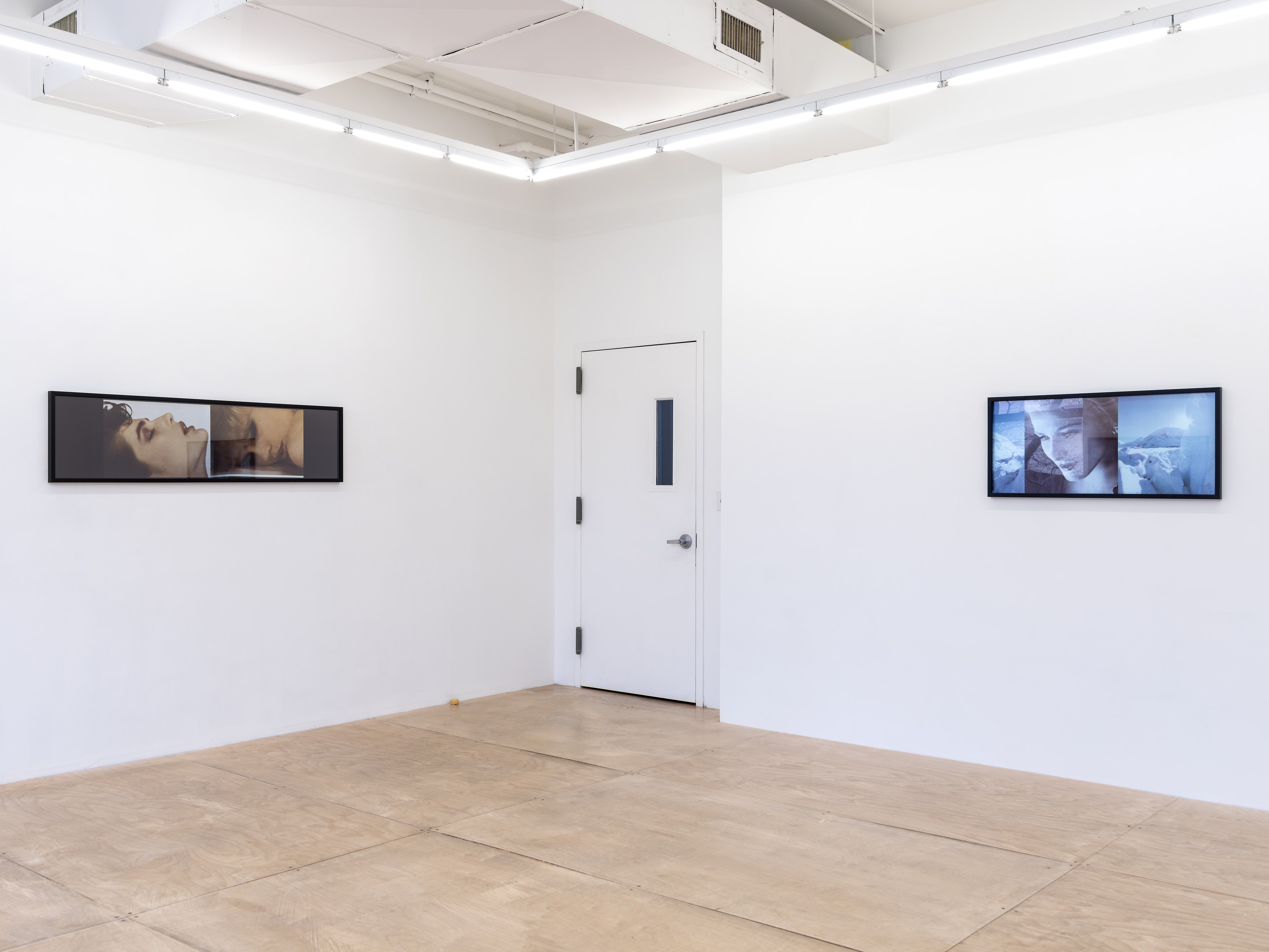 Vikky Alexander, 1981-1983 at Tara Downs, photo 9