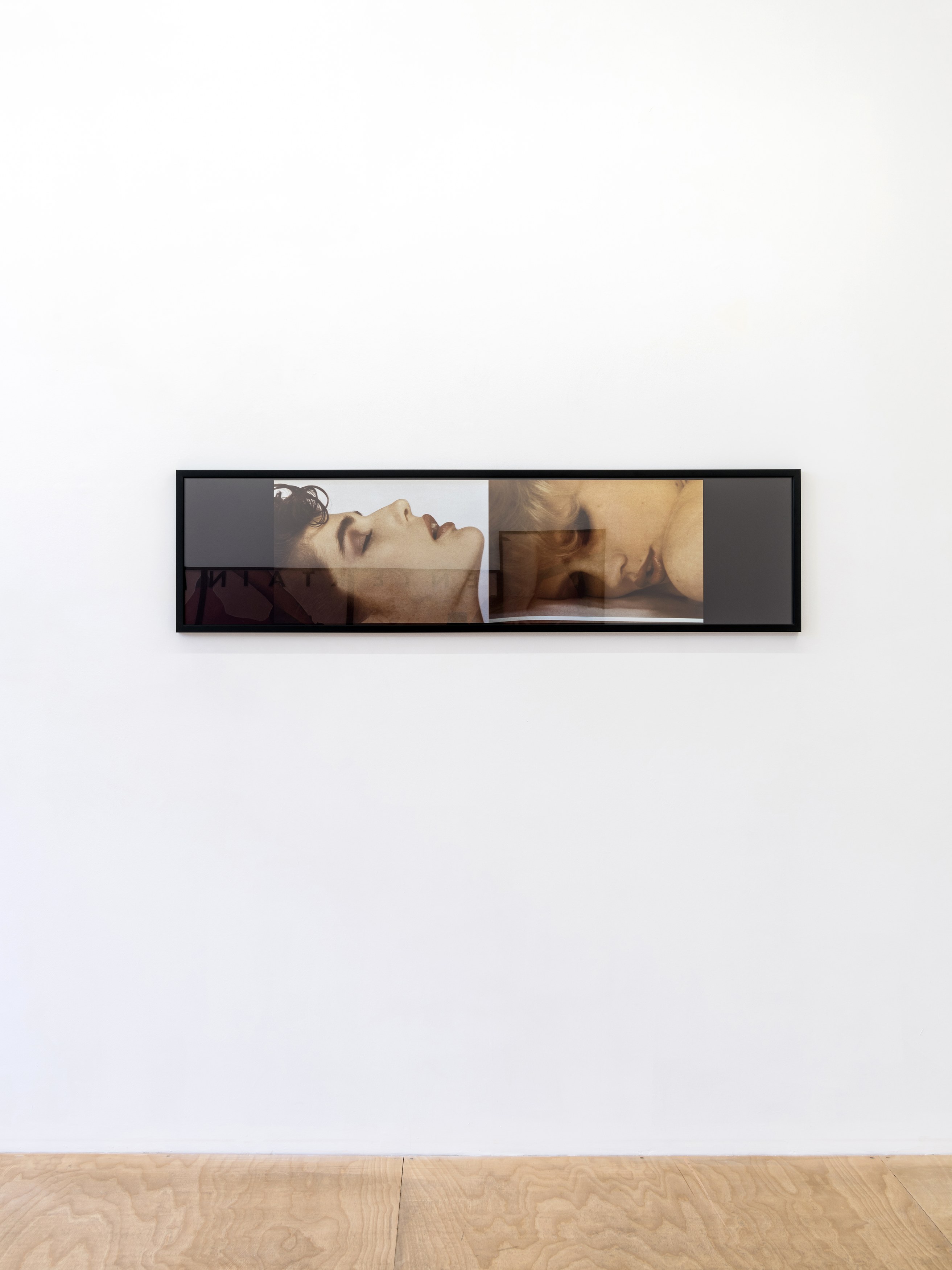 Vikky Alexander, 1981-1983 at Tara Downs, photo 10