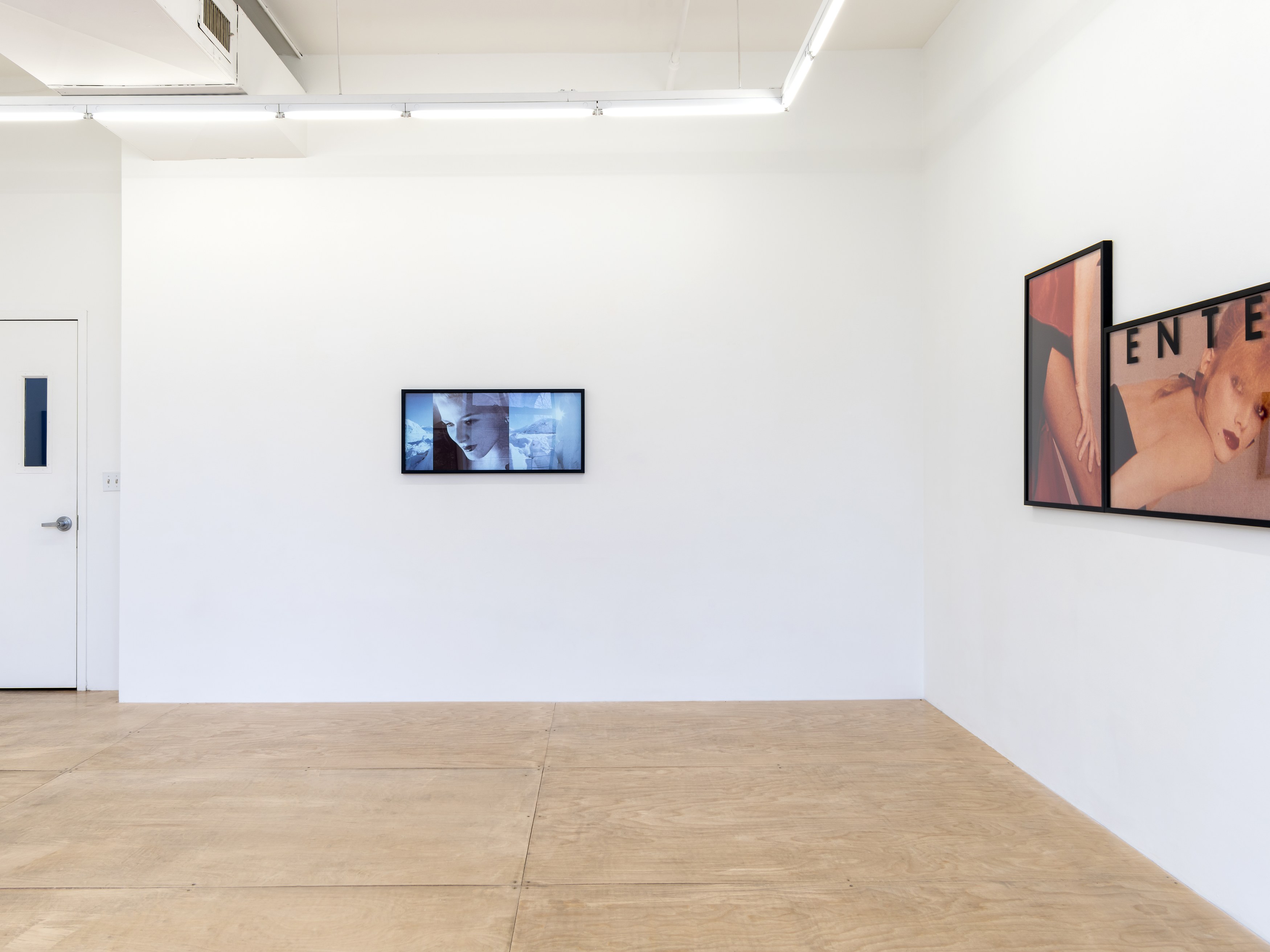 Vikky Alexander, 1981-1983 at Tara Downs, photo 11
