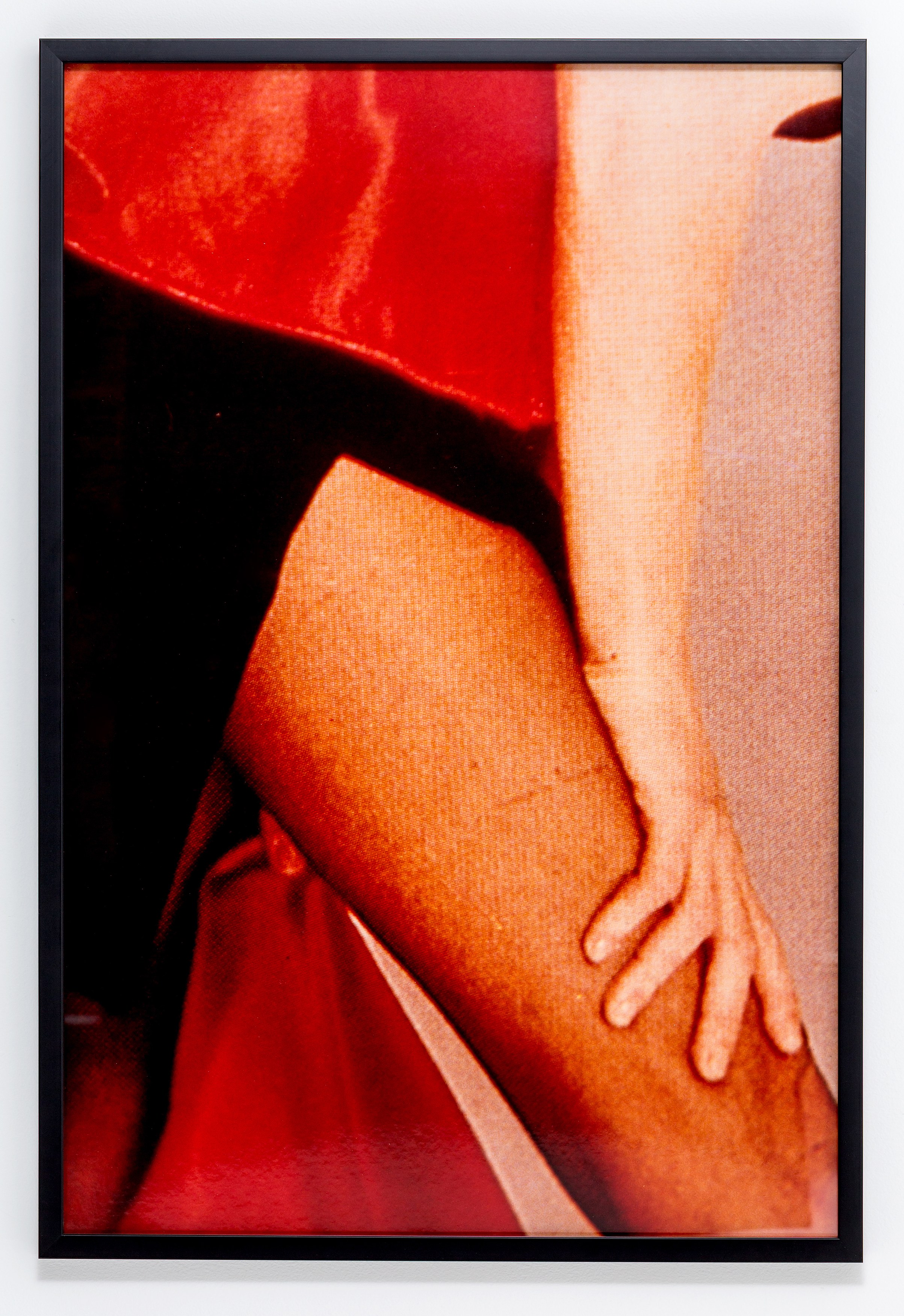 Vikky Alexander, 1981-1983 at Tara Downs, photo 16