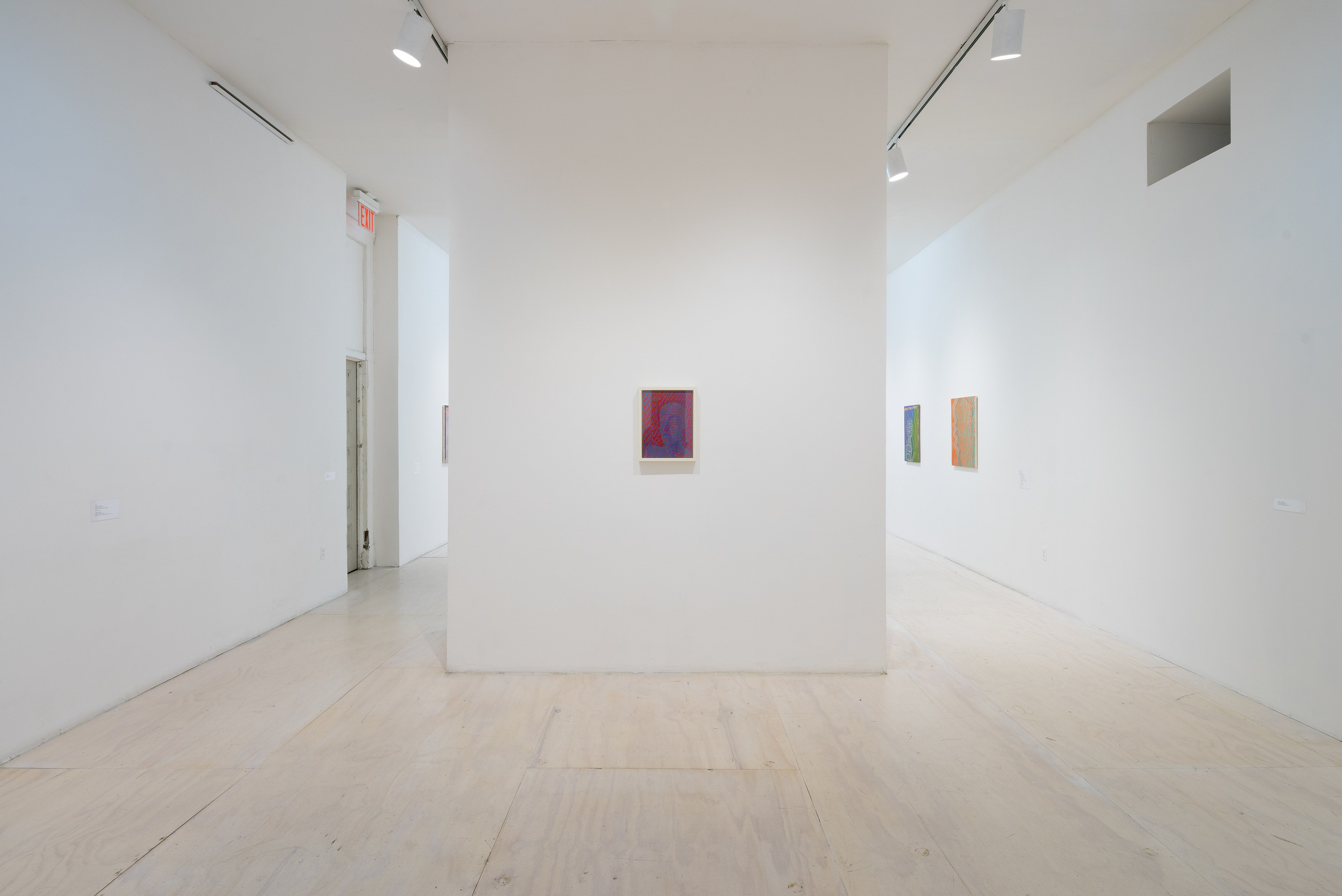 Sascha Braunig, Shivers at MoMA PS1, photo 2