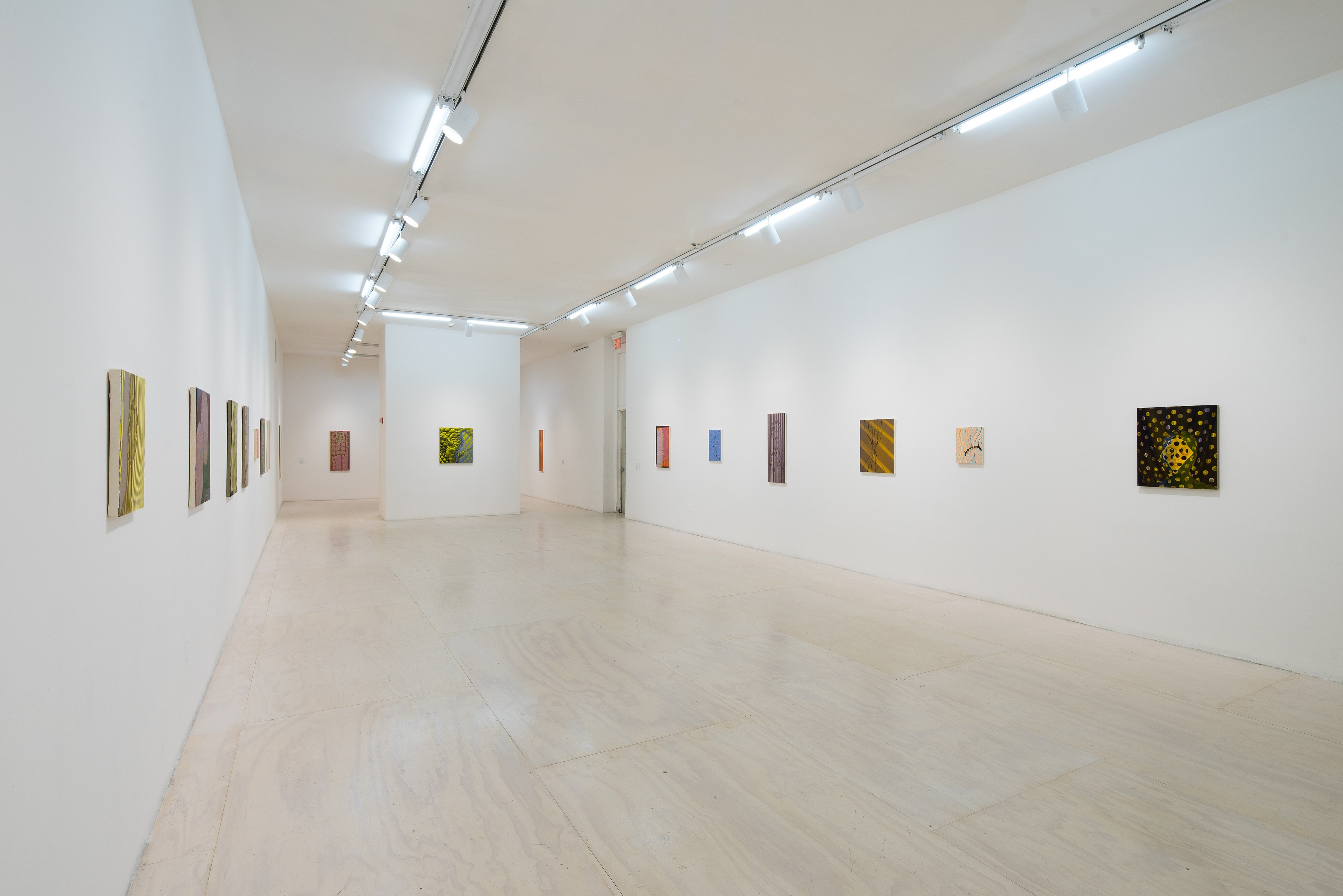 Sascha Braunig, Shivers at MoMA PS1, photo 4