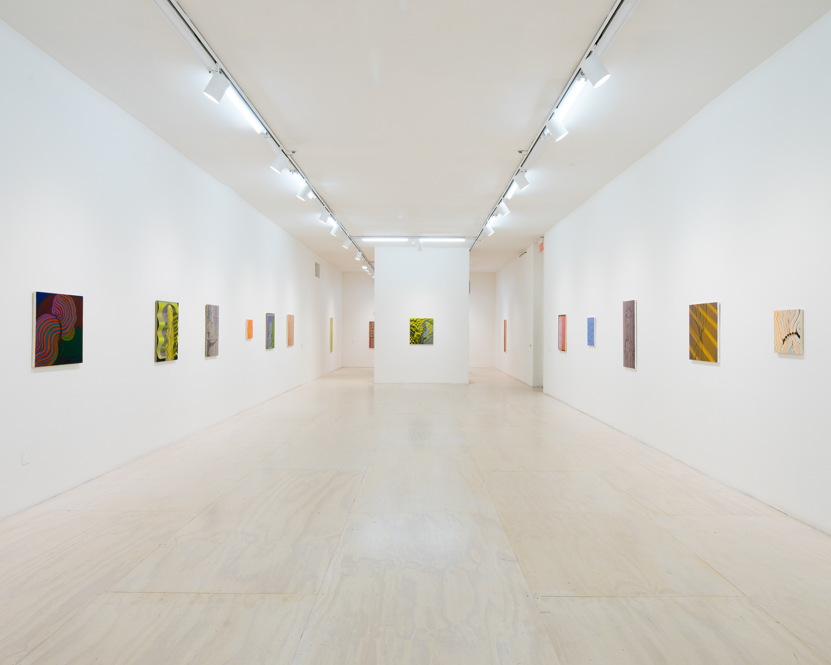Sascha Braunig, Shivers at MoMA PS1, photo 5