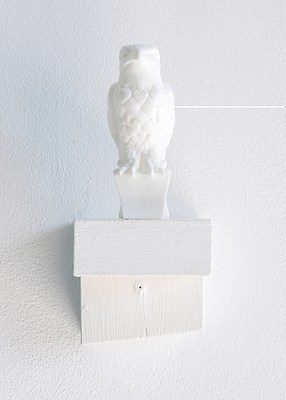 Image 9 of 17