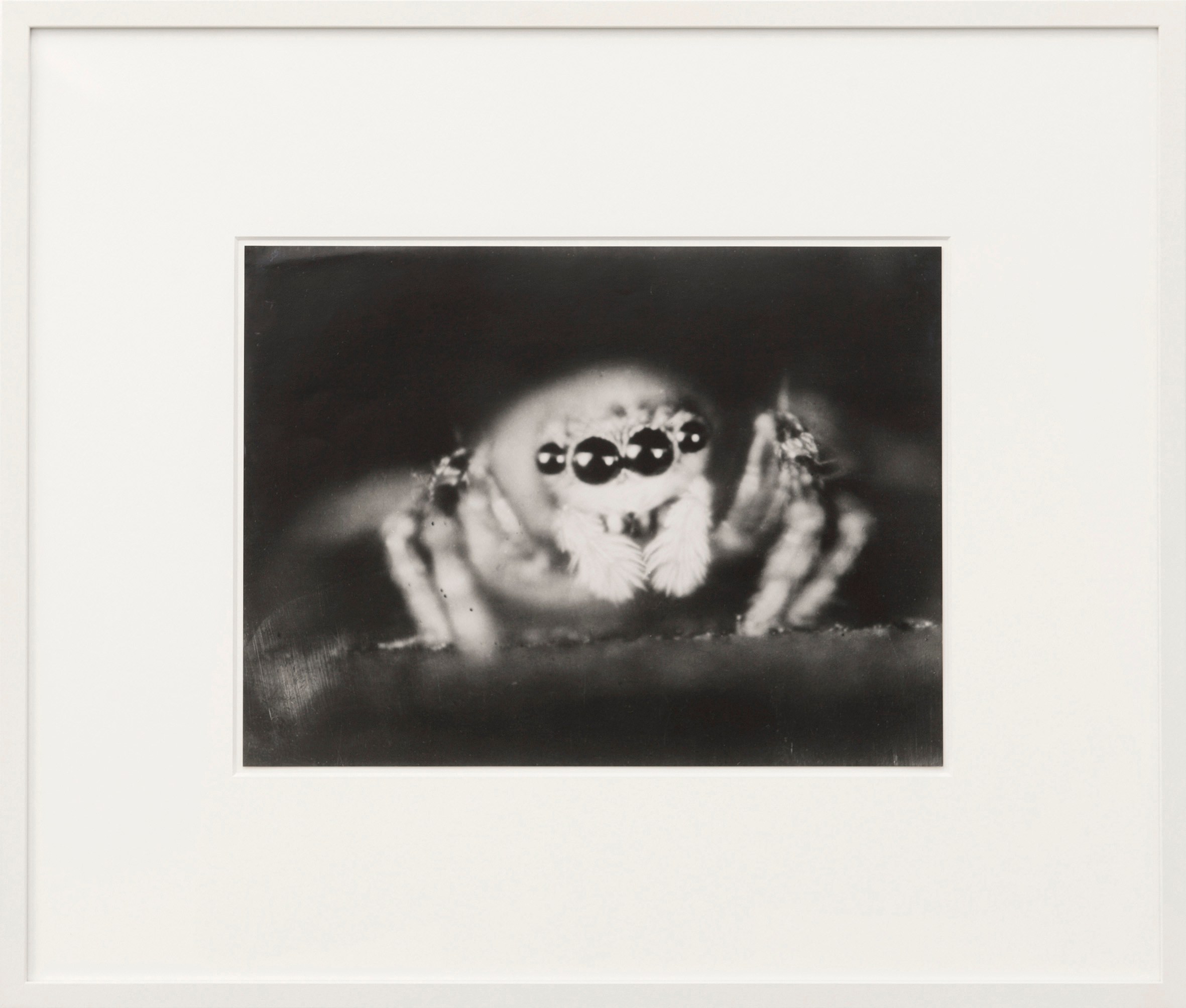 More, More at Air de Paris, photo 72