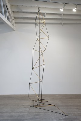 Image 7 of 16