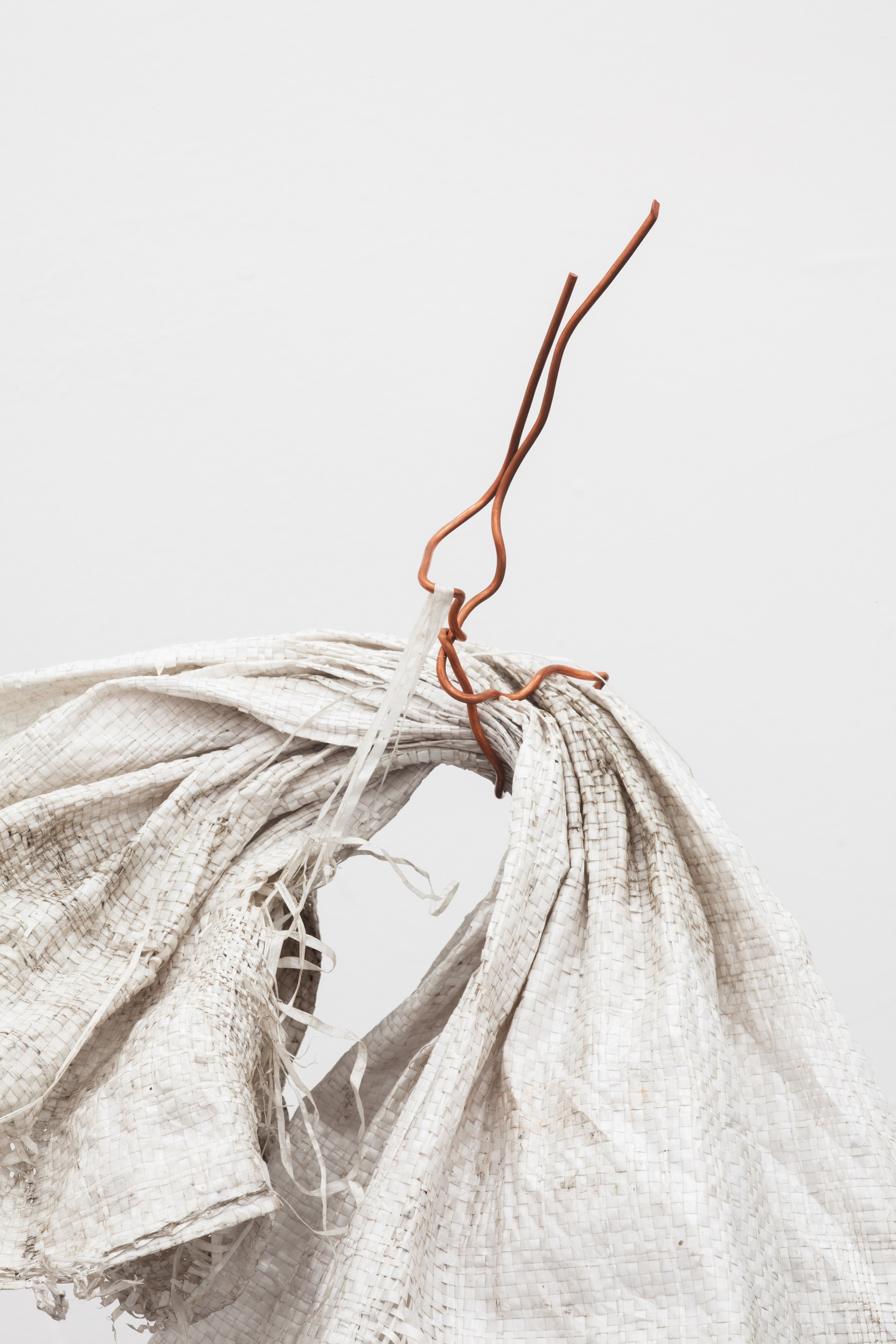 Cameron Rowland, Bait, Inc at Maxwell Graham, photo 17